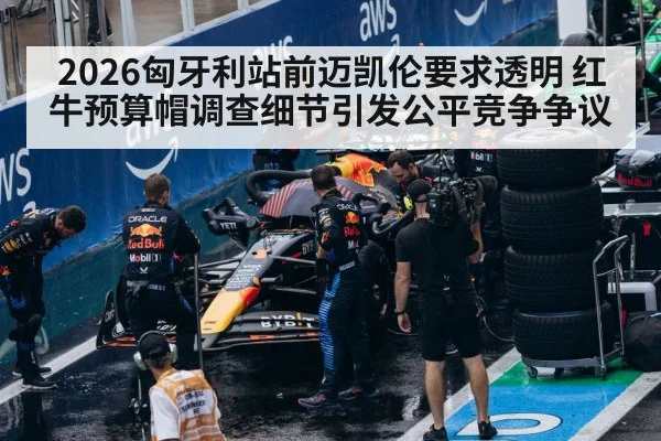 Red Bull Racing F1 team